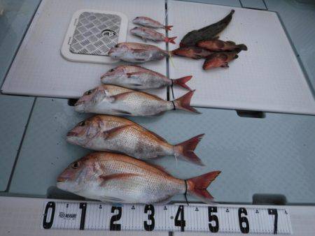 遊漁船 幸友丸 釣果