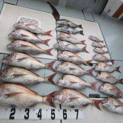 遊漁船 幸友丸 釣果