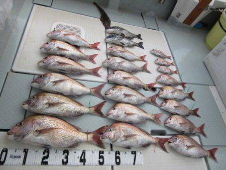 遊漁船 幸友丸 釣果