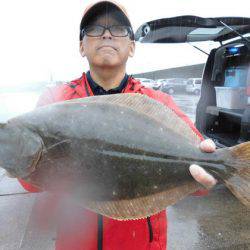 大進丸(新潟) 釣果