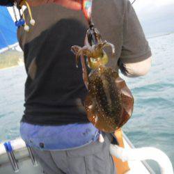 遊漁船 幸友丸 釣果