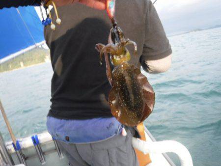 遊漁船 幸友丸 釣果