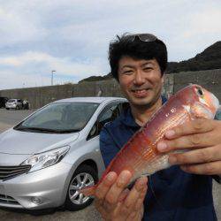 大進丸（新潟） 釣果