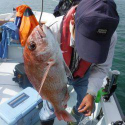 遊漁船 幸友丸 釣果