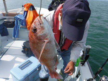 遊漁船 幸友丸 釣果
