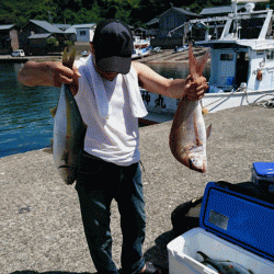 龍神丸(福井) 釣果