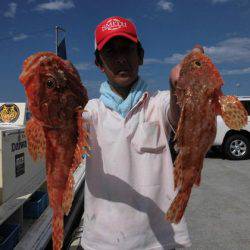 大進丸(新潟) 釣果