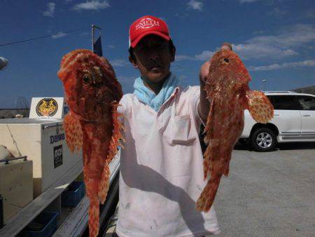 大進丸（新潟） 釣果