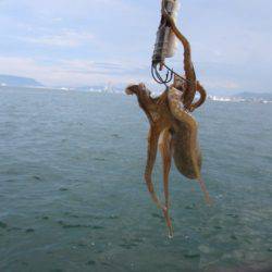 遊漁船 幸友丸 釣果