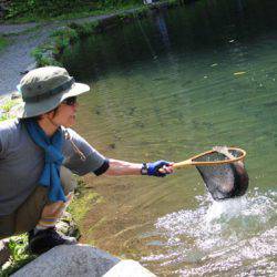 小菅トラウトガーデン 釣果