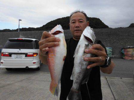 大進丸(新潟) 釣果