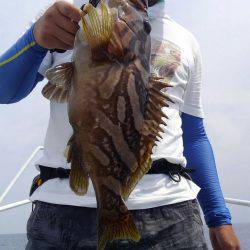 遊漁船 新鋭丸 釣果