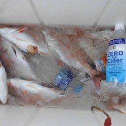 大進丸(新潟) 釣果