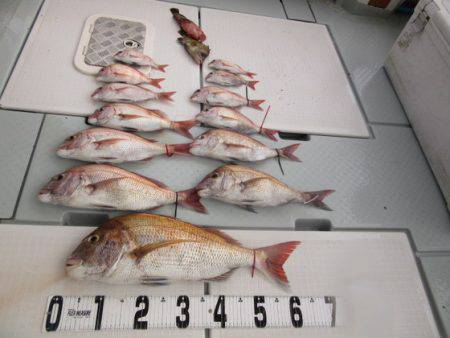 遊漁船 幸友丸 釣果