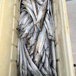 オーシャンズ 釣果