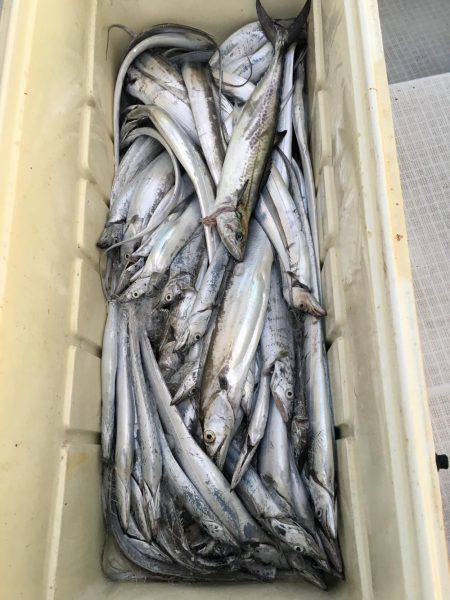 オーシャンズ 釣果