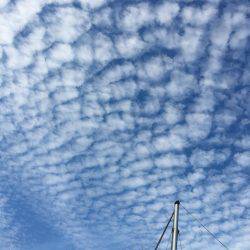 オーシャンズ 釣果