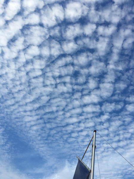 オーシャンズ 釣果