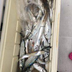 オーシャンズ 釣果