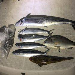 オーシャンズ 釣果