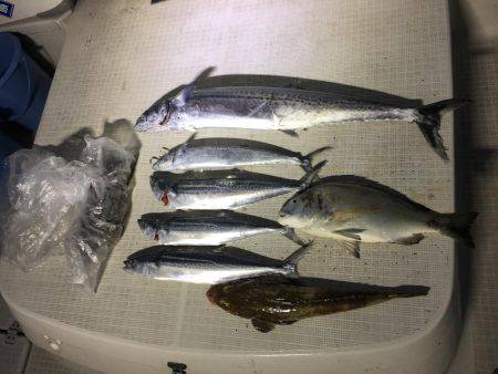 オーシャンズ 釣果