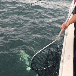 オーシャンズ 釣果