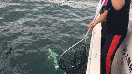 オーシャンズ 釣果