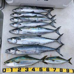 オーシャンズ 釣果