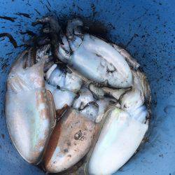 オーシャンズ 釣果