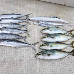 オーシャンズ 釣果