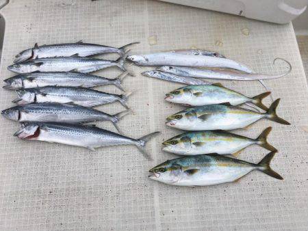 オーシャンズ 釣果