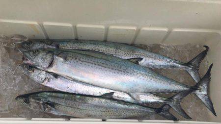 オーシャンズ 釣果