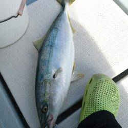 遊漁船ブルーウッズ 釣果