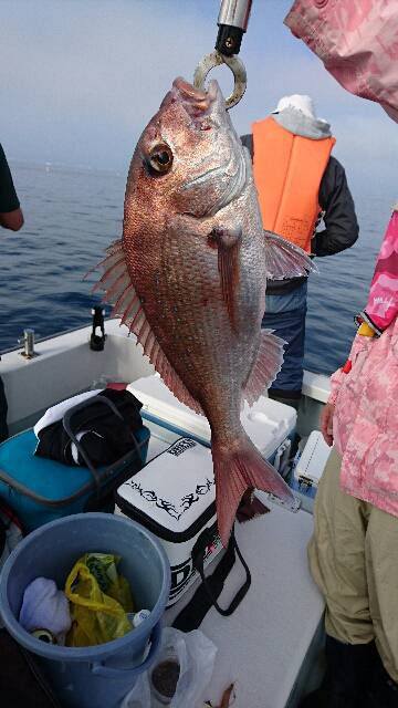 遊漁船ブルーウッズ 釣果