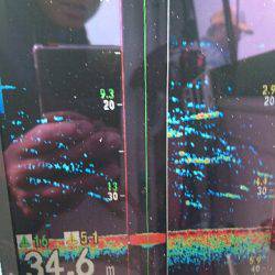 遊漁船ブルーウッズ 釣果