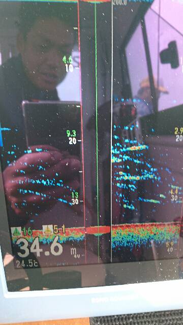 遊漁船ブルーウッズ 釣果