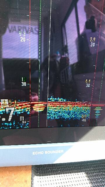 遊漁船ブルーウッズ 釣果