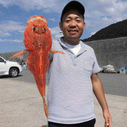 大進丸(新潟) 釣果