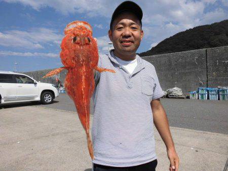 大進丸(新潟) 釣果