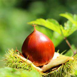 小菅トラウトガーデン 釣果