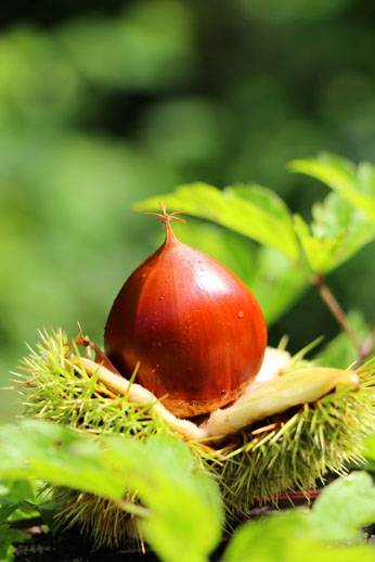 小菅トラウトガーデン 釣果