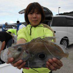 大進丸(新潟) 釣果