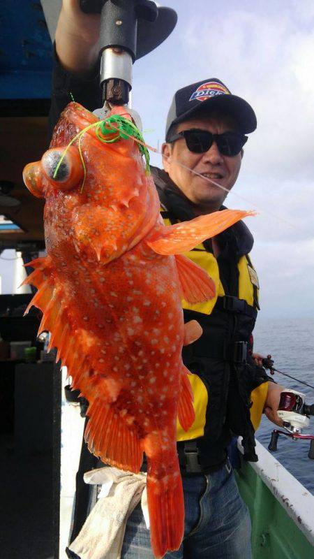 遊漁船 新鋭丸 釣果