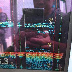 遊漁船ブルーウッズ 釣果