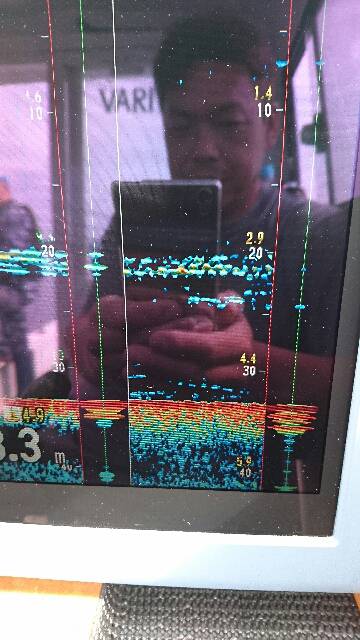 遊漁船ブルーウッズ 釣果