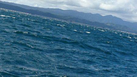 遊漁船ブルーウッズ 釣果