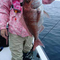 遊漁船ブルーウッズ 釣果