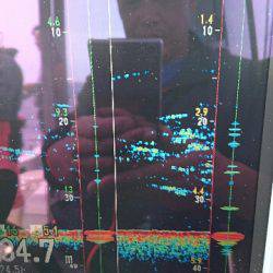 遊漁船ブルーウッズ 釣果