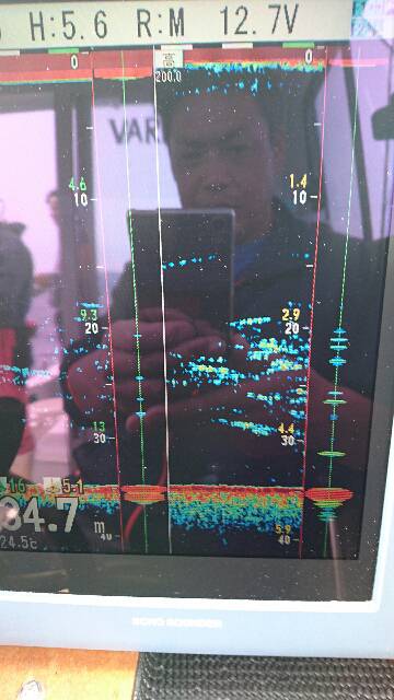 遊漁船ブルーウッズ 釣果