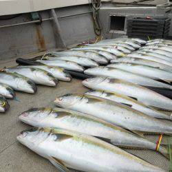 寿裕 (YOSHIHIRO) 釣果